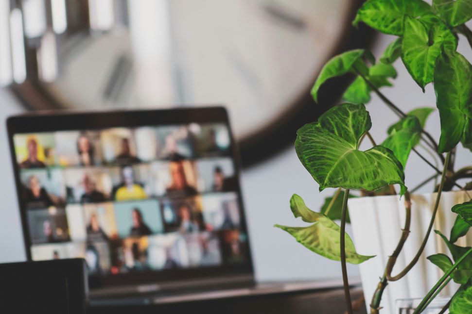 A plant beside a laptop in a home office with a Zoom meeting in progress as used by remote workers.